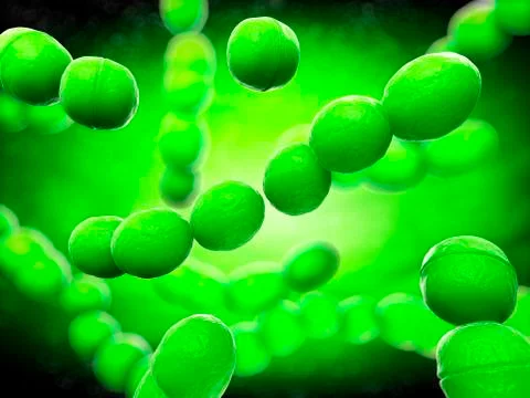 Streptococcus bacteria, artwork Stock Illustration