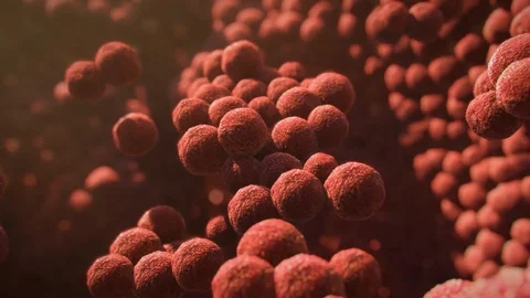 Streptococcus bacteria Stock Footage