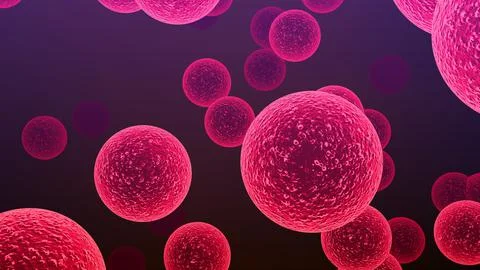Streptococcus bacteria responsible for bacterial pneumonia and other diseases Illustration