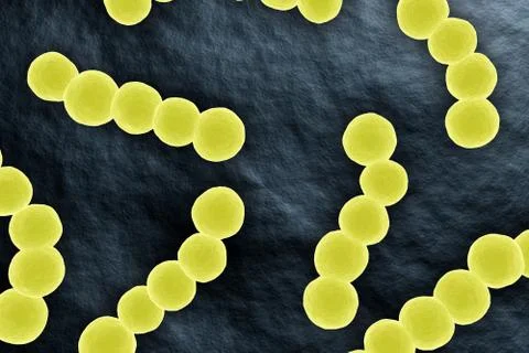 Streptococcus bacterium microscopic view 3D illustration Stock Illustration