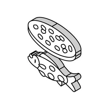 Streptococcus iniae fish isometric icon vector illustration Stock Illustration