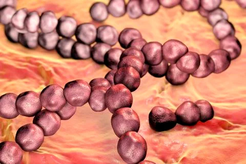 Streptococcus mutans bacteria Stock Illustration