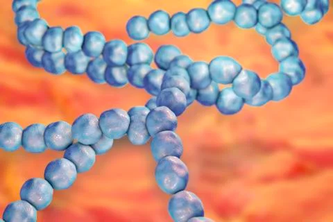 Streptococcus mutans bacteria Stock Illustration