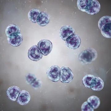 Streptococcus pneumoniae bacteria, 3D scientific illustration Stock Illustration