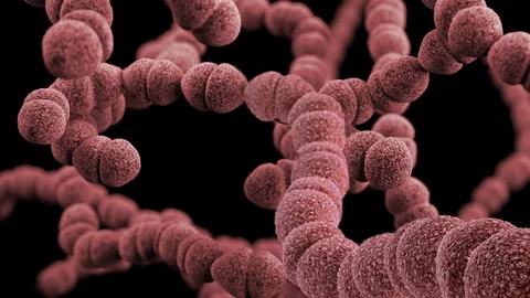 Streptococcus pneumoniae bacteria zoom Stock Footage 95206210