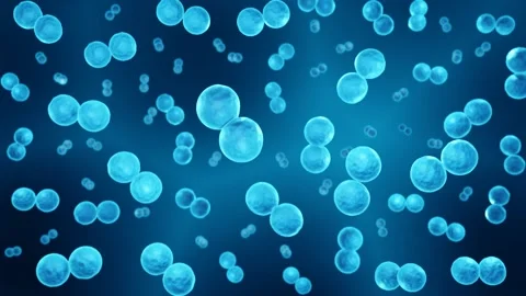 Streptococcus pneumoniae, looped animation Stock Footage 156776640