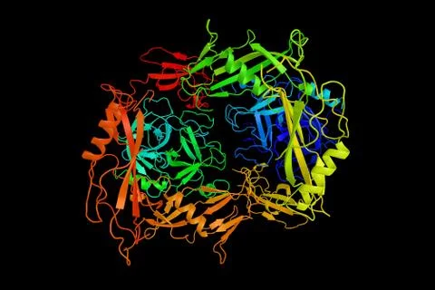 Streptokinase (3d structure), a thrombolytic medication and enzyme. Used to.. Stock Illustration