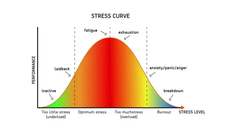 Stress Curve Level and Performance Animation on White Background Video stock 155547712
