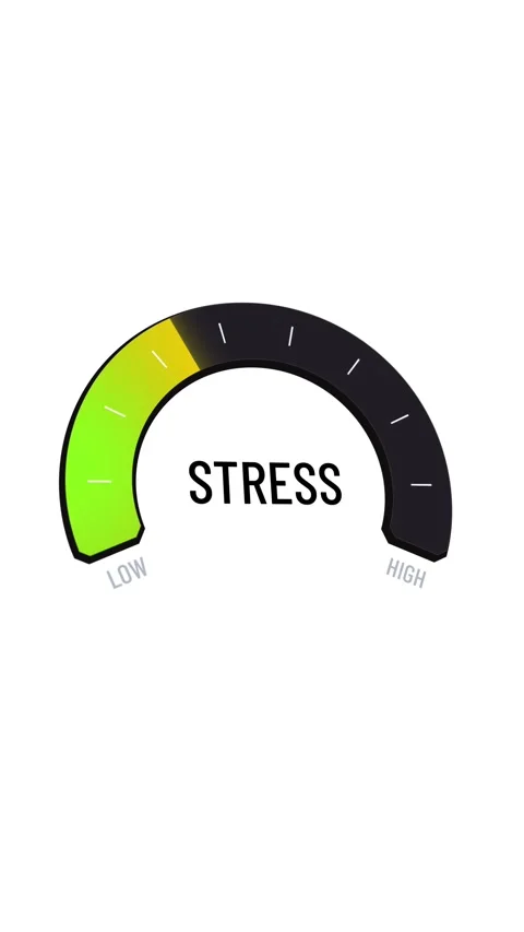 Stress meter gauge presentation, moving levels from low to high and back Stock Footage 317515394