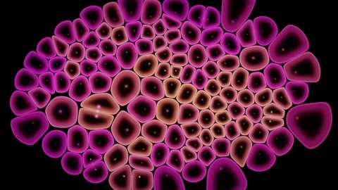 Stressed Cell Colony Recovers And Resumes Normal Growth Stock-Footage 344513094