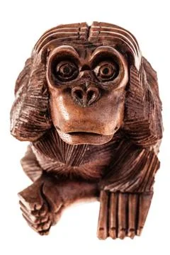 Stressed monkey Stock Photos