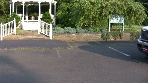 Stretch limo Stock Footage 143403