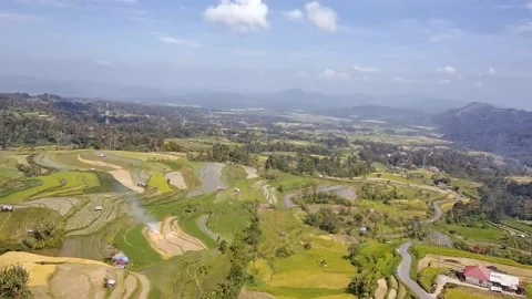 A stretch of rice fields in a valley of west sumatra 스톡 동영상 207852540