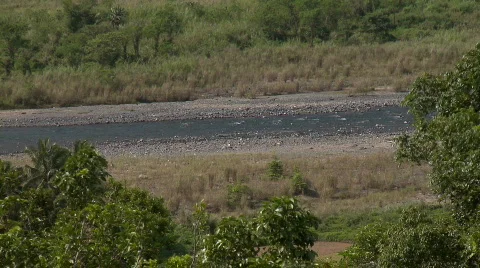 A stretch of river framed by trees Stock Footage 612308