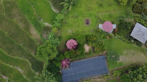 A stretch of vibrant green rice fields in one of the villages in Indonesia Stock Footage 319749424