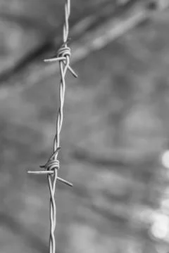 Stretched barbed wire on a blurred background of a gray wall tinted photo Stock Photos