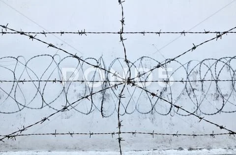 Stretched Barbed Wire Wall To Prison.
