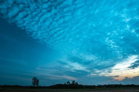Stretched evening clouds after sunset, trees on the horizon Stock Photos