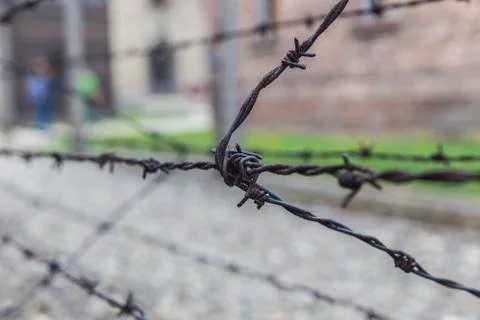 Stretched Old Rusty Barbed Wire Stock Photos