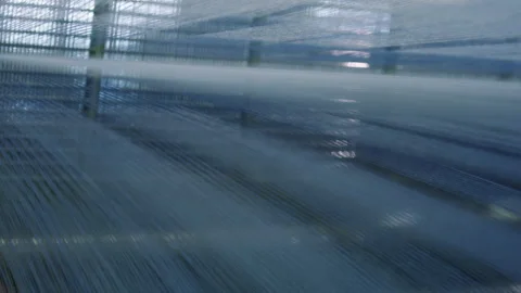 Stretched Threads. Close-Up. Dyeing And Drying Of Threads. Fabricating Cloth Stock Footage 263218252