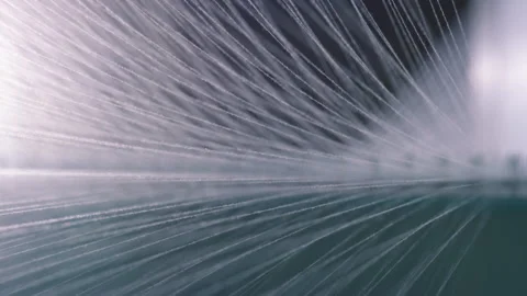 Stretched Threads. Close-Up. Dyeing And Drying Of Threads. Fabricating Cloth Stock Footage 263468923