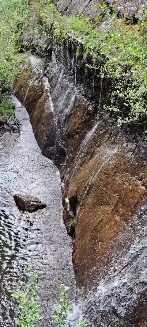Stretched waterfall with green leafs and rocks Stock Footage 315601845