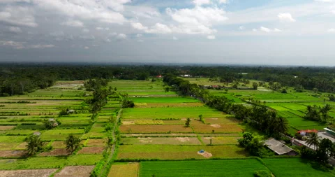 Stretching across the island’s landscape like patchwork quilt of vibrant Stock-Footage 267062729