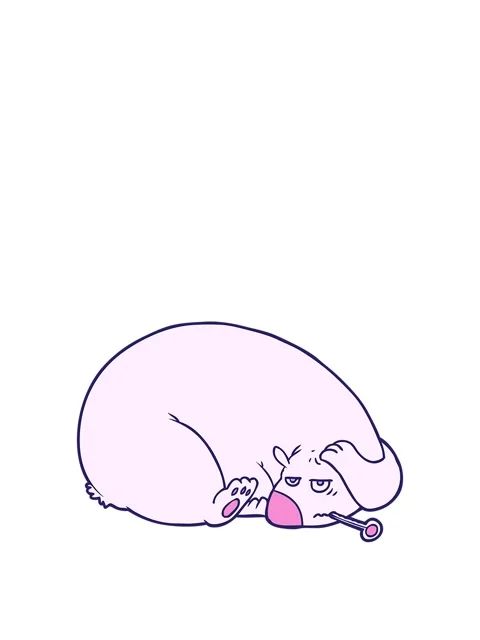 Stretching up animation of bear with a sore head Stock Footage 324252558