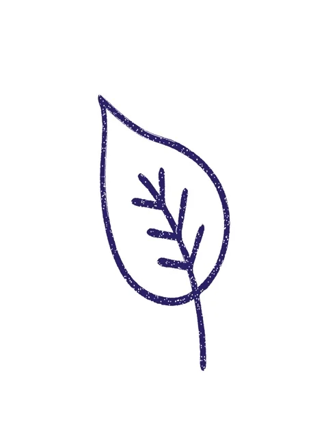 Stretching up animation of Old Leaf Charcoal Drawing Stock Footage 324225808