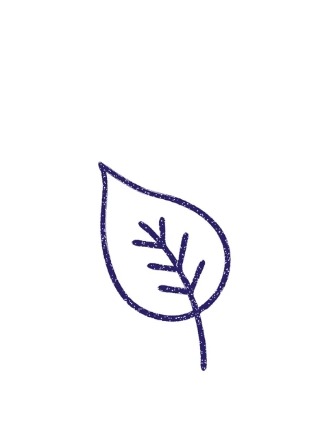 Stretching up animation of Old Leaf Charcoal Drawing Stock Footage 324476034