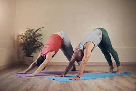 Stretching the hamstrings. Full length shot of two unrecognizable yogis holdi Stock Photos