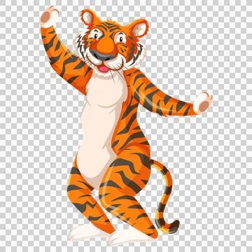 Stretching tiger character standing on two legs and arms. 스톡 일러스트