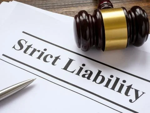 Strict liability documents and gavel. 스톡 사진