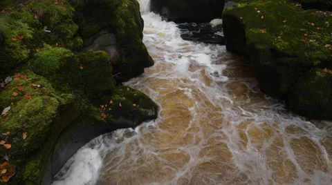 The Strid Video stock 59538827