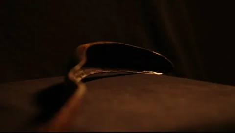 Strigil Video stock 8970003