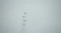 The "STRIGY" pilotage group at MAKS 2013 airshow HD Footage