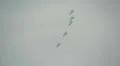 The "STRIGY" pilotage group at MAKS 2013 airshow HD Footage