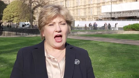 Strikes on Iran are 'ill-advised and illegal' says Dame Emily Thornberry Stock Footage 330073834