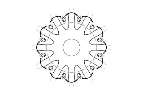 Striking Black White Mandala Complex Pattern Art Stock Illustration