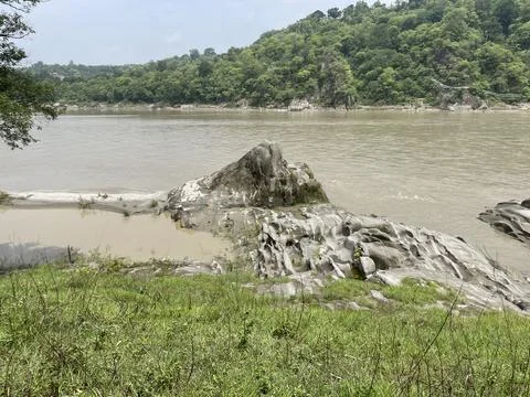 Striking erosion patterns carved by the fast-flowing Beas River in Nadaun, .. Foto stock