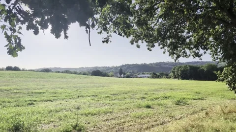 A striking flock of white birds soars above a vast Stock Footage 344245831