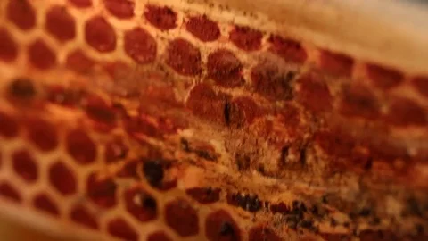 Striking a Match 2 Stock Footage 74513278