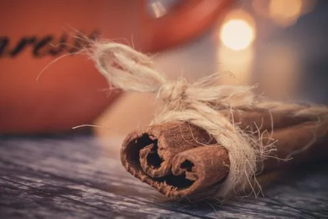 String around a cinnamon stick Stock Photos
