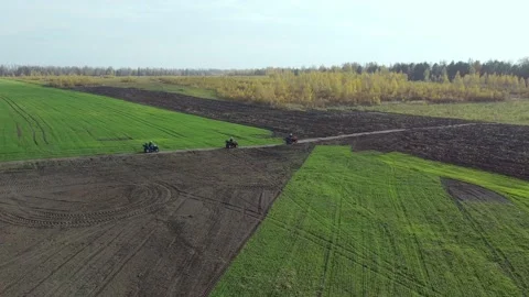 A string of ATVs drives across the field against the background of the forest 스톡 동영상 204734599
