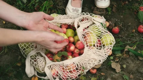 A string bag with apples in the foreground. A small child and mother put apples Stock Footage 219215505
