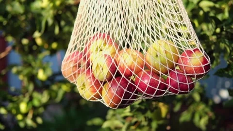 A string bag with apples in the garden. Swinging in the hand during the autumn Vídeos de archivo 282724527
