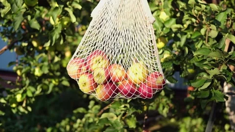 A string bag with apples in the garden. Swinging in the hand during the autumn Stock Footage 282724571
