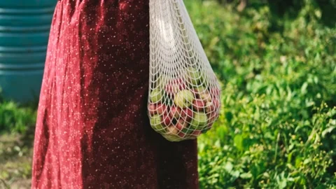 A string bag with apples. View of a female figure walking through the summer Stock Footage 219230107