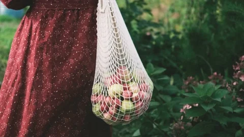 A string bag with apples. View of a female figure walking through the summer Stock Footage 219232756