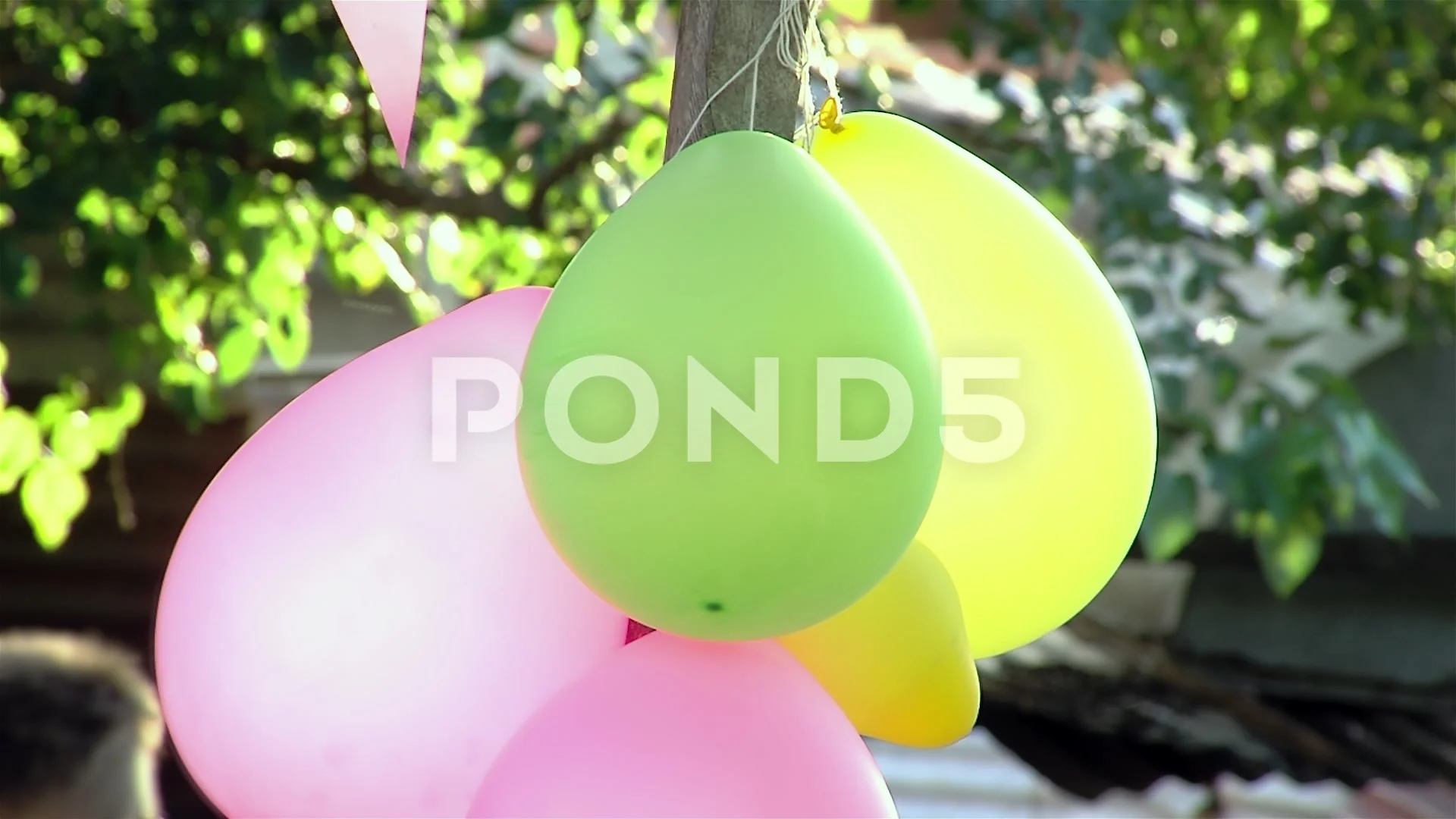 https://images.pond5.com/string-balloons-hanging-between-trees-footage-239850670_prevstill.jpeg